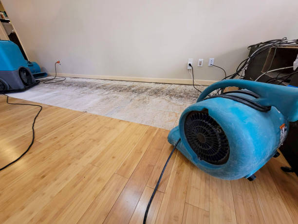 Professional Water Removal technician working in McGuffey, OH